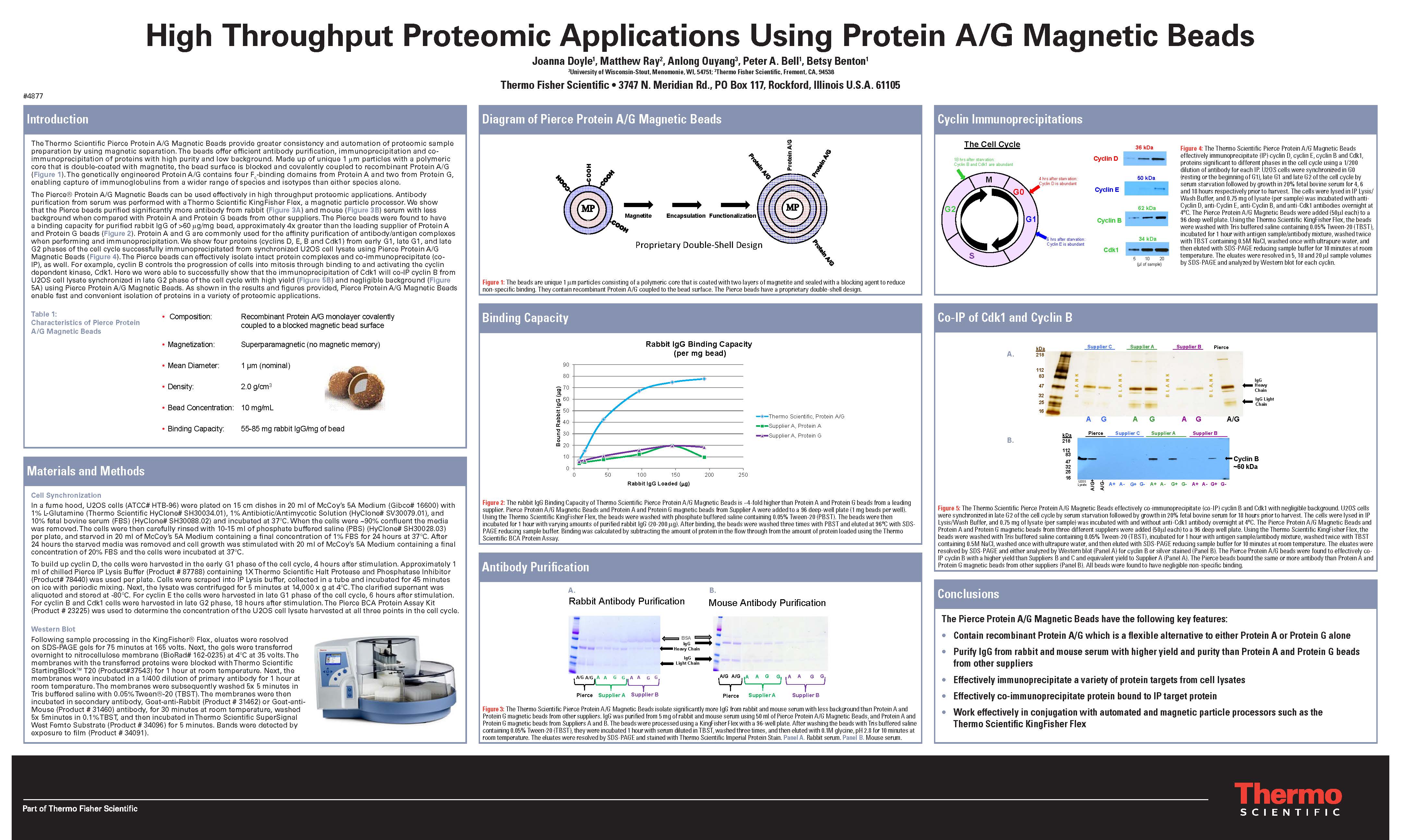 applications using protein A/G magnetic beads – RaySciences